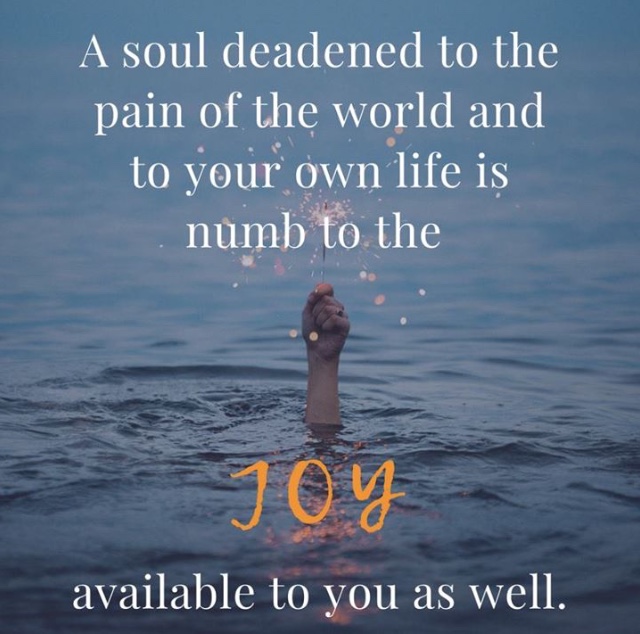 Defiant Joy Quote | Defiant Joy Book Review cassiecreley.com