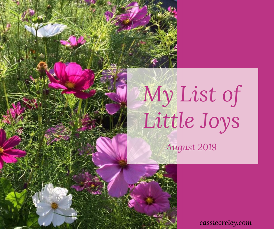 My List of Little Joys August 2019—Summer has gotten off to a rocky start, but I’m focusing on capturing moments that bring me joy. Here’s my list to offer you some inspiration for gratitude jounraling. | cassiecreley.com