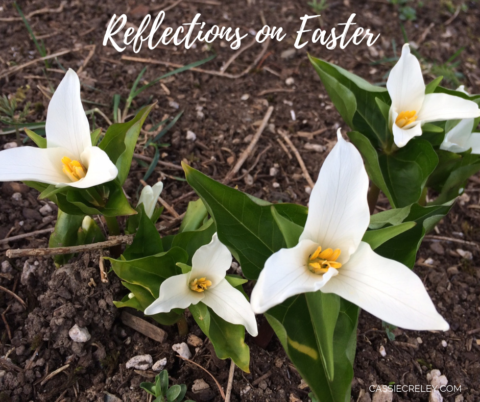 Reflections on Easter – A Collection of Quotes, Bible Verses, and Song Verses | cassiecreley.com