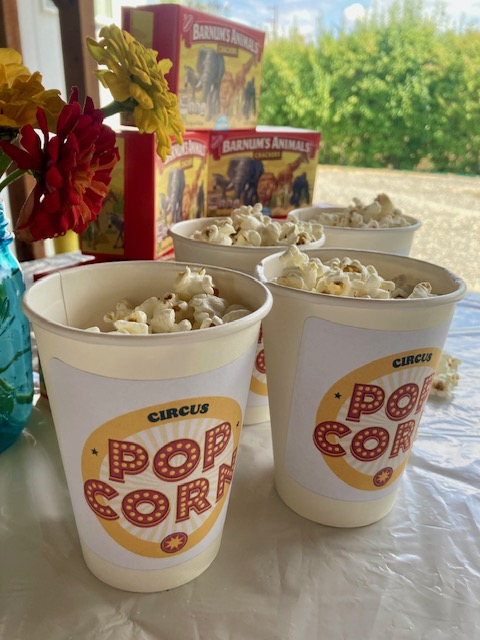 How to Host a Circus Party—Ideas for games, activities, costumes and more! Here’s how to throw a big top themed party with a small budget and lots of fun! | cassiecreley.com