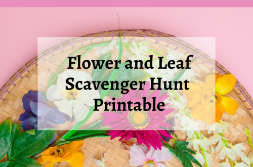 Perfect for photo scavenger hunts and enjoying nature. Get the free flower and leaf scavenger hunt printable.